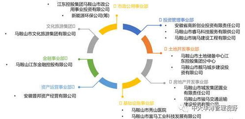 国内五大城投公司发展模式对比分析