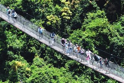 跨省游 启封 三亚旅游业界喜迎 开放
