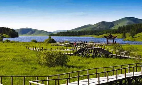 选址中国 格力珠海造芯 日产武汉建新厂 河北备战旅游小镇