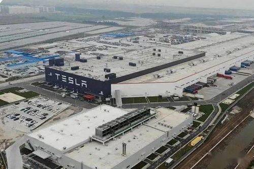 进度加快 国产model y有望11月开始生产 并于明年实现交付