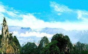 旅游公司
