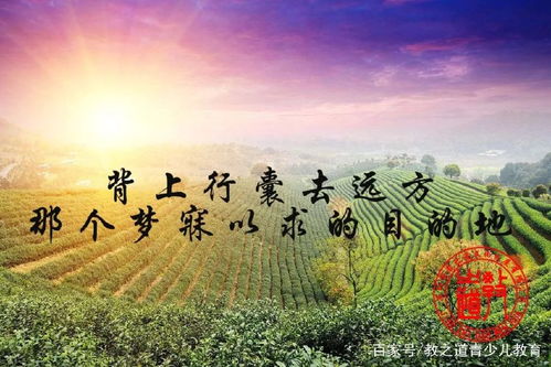 国庆出行安全小tips 教之道发布
