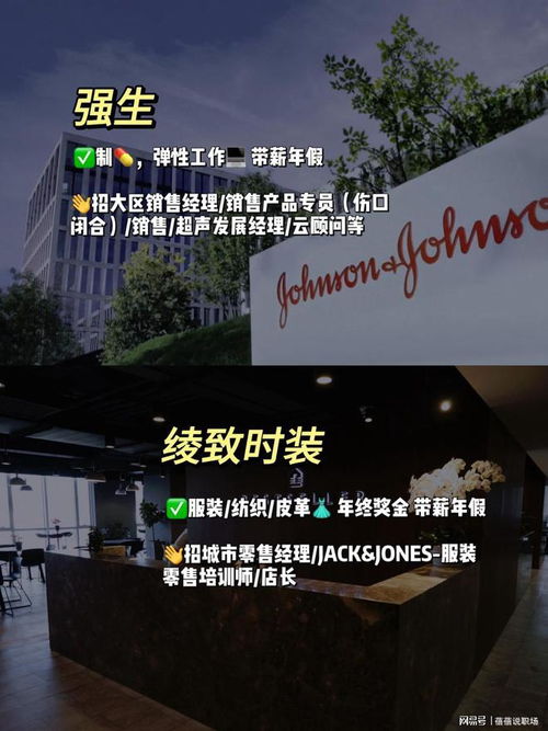 宝藏公司,济南值得去的神仙外企