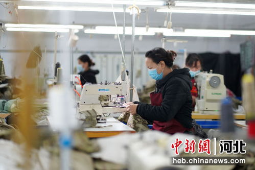 河北内丘 家门口就业助增收